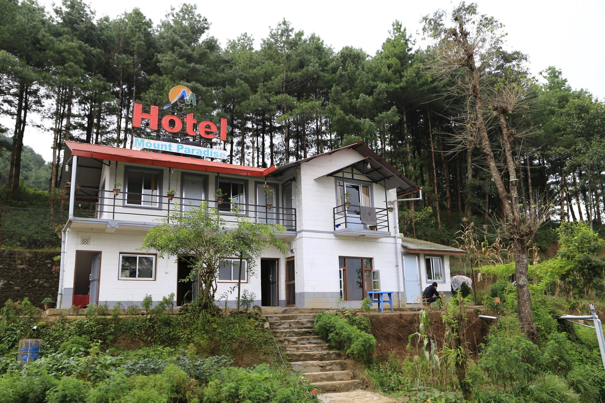 Hotel Mount Paradise Нагаркот Екстериор снимка